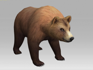 brown bear 3D Model