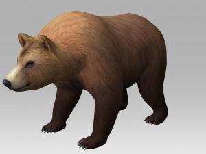 brown bear 3D 模型