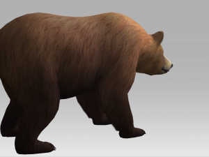 brown bear 3D 模型