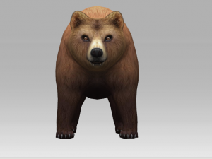 brown bear 3D 模型
