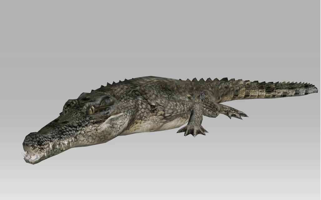 3d crocodile-alligator 3D Model .c4d .max .obj .3ds .fbx .stl .blend 