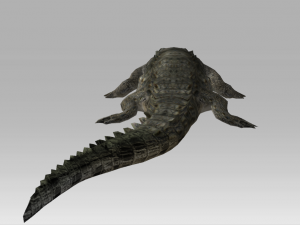3d crocodile-alligator 3D 模型