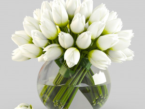 angelique tulips 3D Model