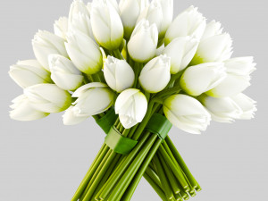 angelique tulips 3D Model
