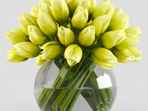angelique tulips 3D Model