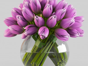 angelique tulips 3D Model