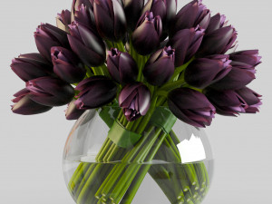 angelique tulips 3D Model