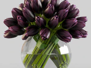 angelique tulips 3D Model