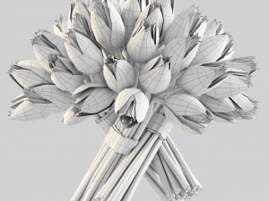 angelique tulips 3D Model