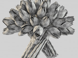 angelique tulips 3D Model