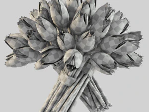 angelique tulips 3D Model
