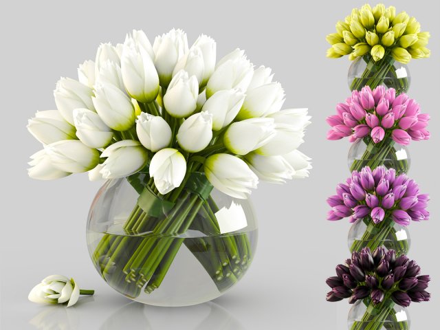 angelique tulips 3D Model .c4d .max .obj .3ds .fbx .stl .blend 