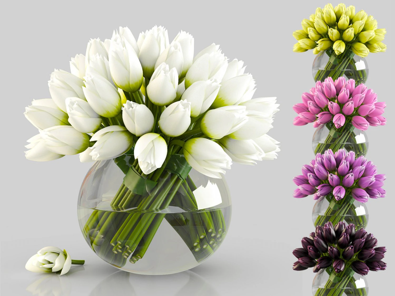 angelique tulips 3D Model .c4d .max .obj .3ds .fbx .stl .blend 