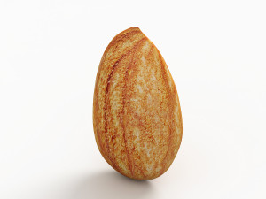 almond Modello 3D