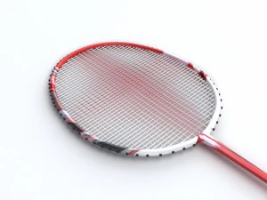 badminton Modello 3D