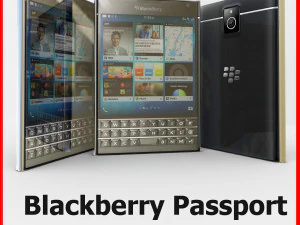 paspor blackberry Model 3D