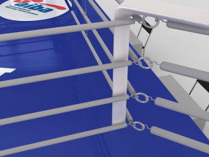boxing ring 3D Model