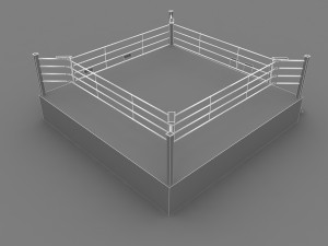 boxing ring 3D Model