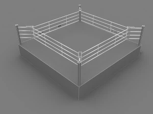 ring de boxe Modèle 3D
