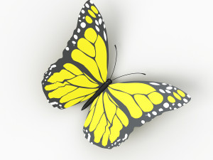 butterfly 3D Model