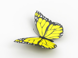 butterfly Modelo 3D