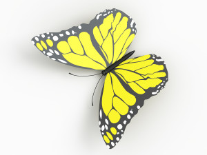 butterfly Modelo 3D