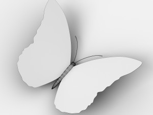 butterfly Modelo 3D
