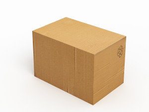 cardboard box 3Dモデル