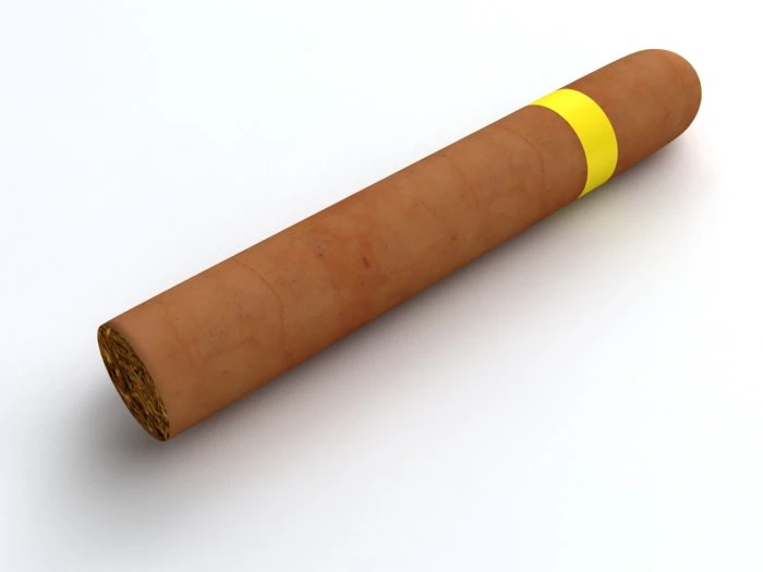 cigar 3D Model .c4d .max .obj .3ds .fbx .stl .blend 