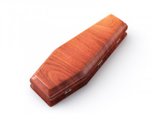 coffin Model 3D