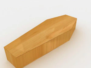 coffin 3D Model