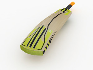 cricket bat 3D Model