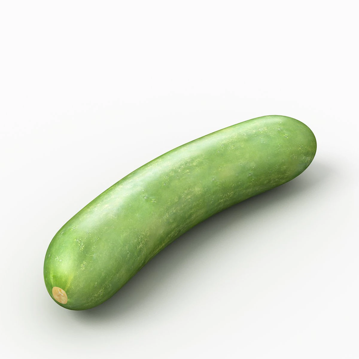 cucumber 3D Model .c4d .max .obj .3ds .fbx .stl .blend