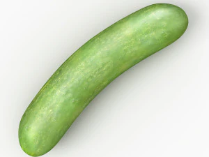 cucumber 3D Model