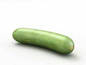 cucumber 3D Model