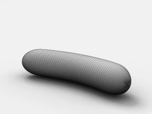cucumber 3D Model