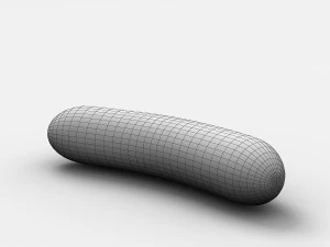 cucumber 3D Model