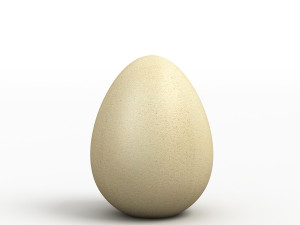 egg 3D Model