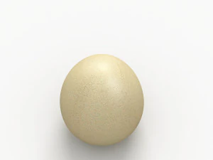 egg 3D Model