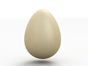 egg 3D Model