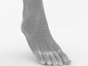 foot 3Dモデル