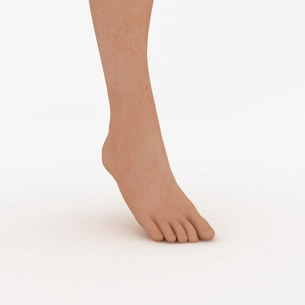 foot 3D Model .c4d .max .obj .3ds .fbx .stl .blend 