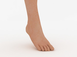 foot 3D Model