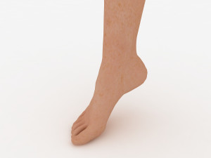 foot 3Dモデル