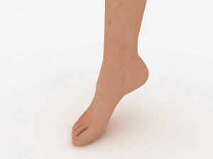 foot 3D Model