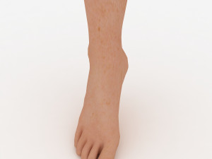 foot 3Dモデル