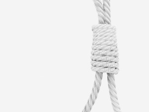gibbet noose 3D Model