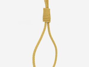 gibbet noose 3D Model