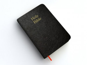 holy bible 3D 模型