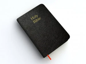 holy bible 3D Model